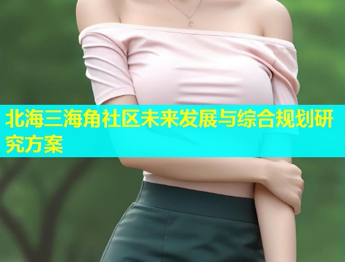 北海三海角社区未来发展与综合规划研究方案