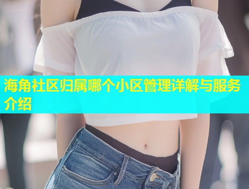 海角社区归属哪个小区管理详解与服务介绍  第1张