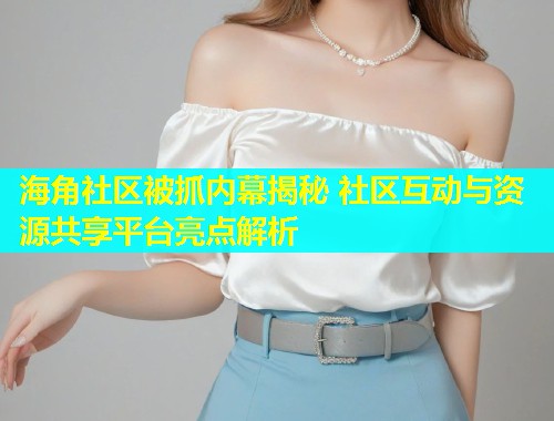 海角社区被抓内幕揭秘 社区互动与资源共享平台亮点解析